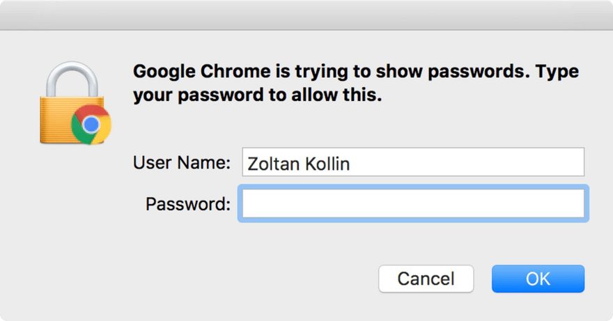 Прежде чем получить доступ к своим сохраненным паролям в Chrome, вам необходимо пройти аутентификацию с помощью пароля вашего компьютера