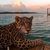 latofatxon_khakimova_9dfe profile image