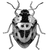 llnrr profile image