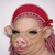 sisikaka1 profile image