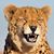 user_512d_x43erx9991 profile image
