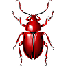 seo-zhuk profile image