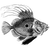 piddubnyi profile image