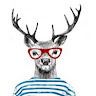 Hashteg Deer profile picture