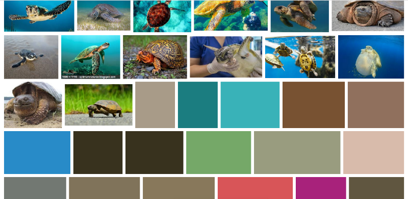Поиск Google Картинки использует плейсхолдеры с доминантными цветами